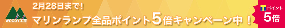 2月28日までTポイント5倍キャンペーン